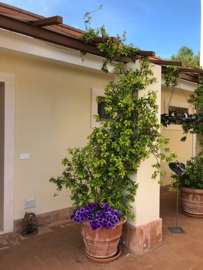 Maso Maroni Agriturismo Quinto di Valpantena Exterior photo